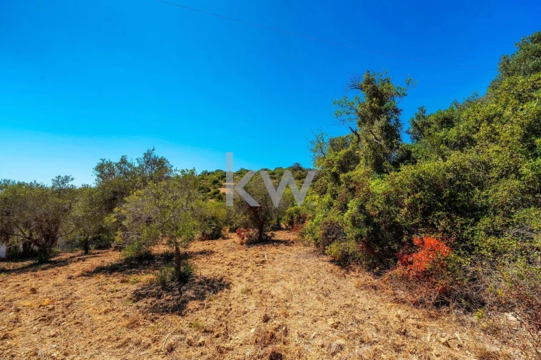Terreno para Venda em Conceição e Estoi Foto 19