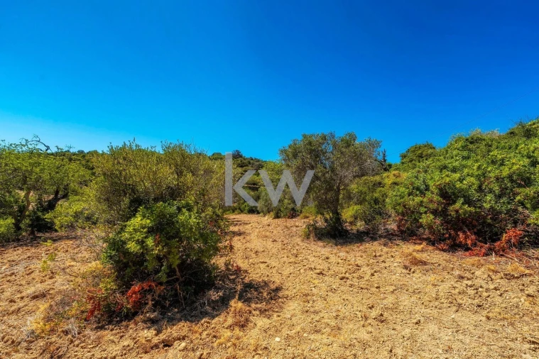 Terreno para Venda em Conceição e Estoi Foto 28