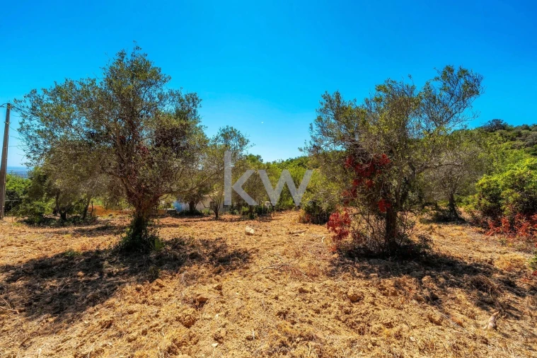 Terreno para Venda em Conceição e Estoi Foto 20