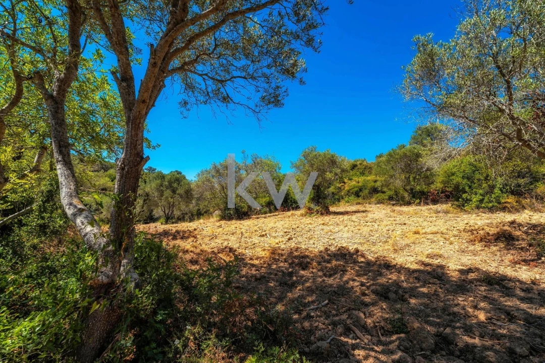 Terreno para Venda em Conceição e Estoi Foto 26