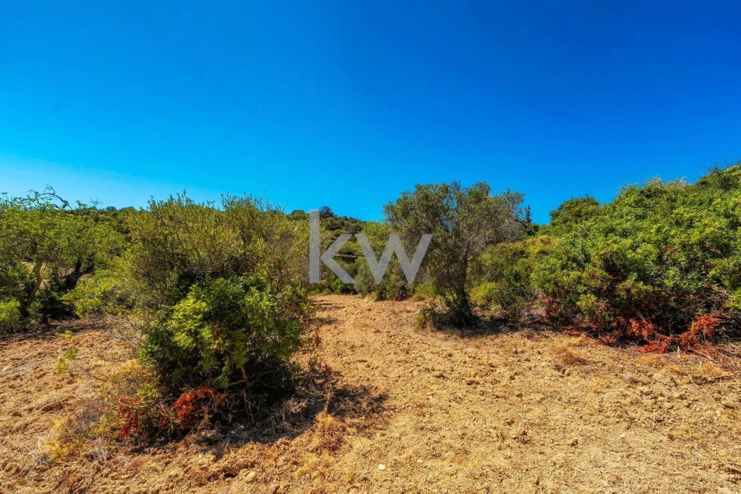 Terreno para Venda em Conceição e Estoi Foto 28