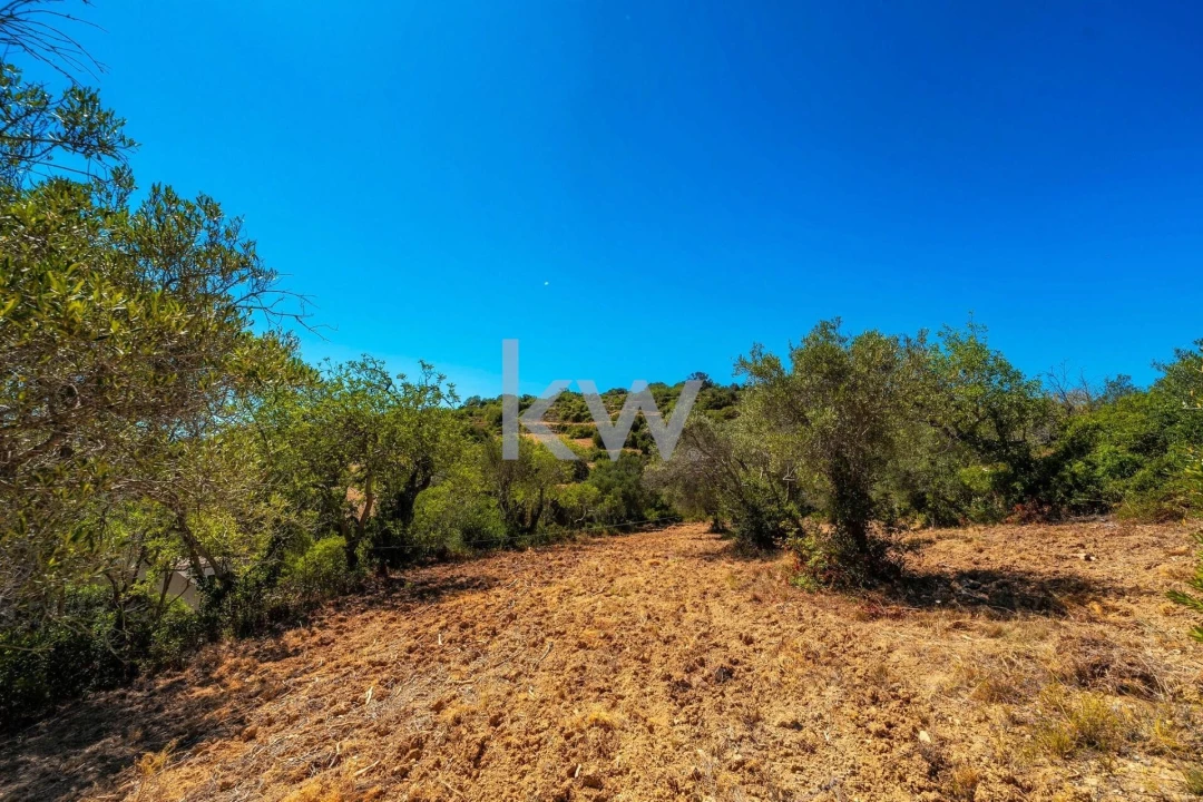 Terreno para Venda em Conceição e Estoi Foto 23