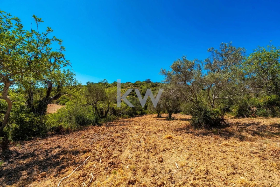 Terreno para Venda em Conceição e Estoi Foto 24