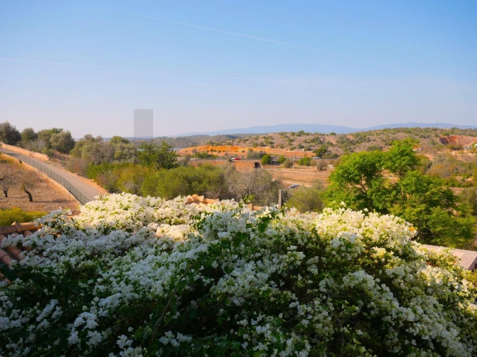 Moradia T6 para Venda em Estômbar e Parchal Foto 40