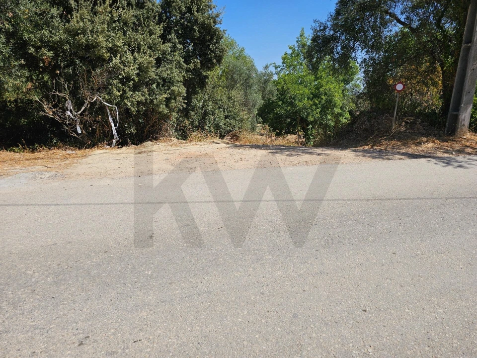 Terreno para Venda em Loule (São Sebastião) Foto 1