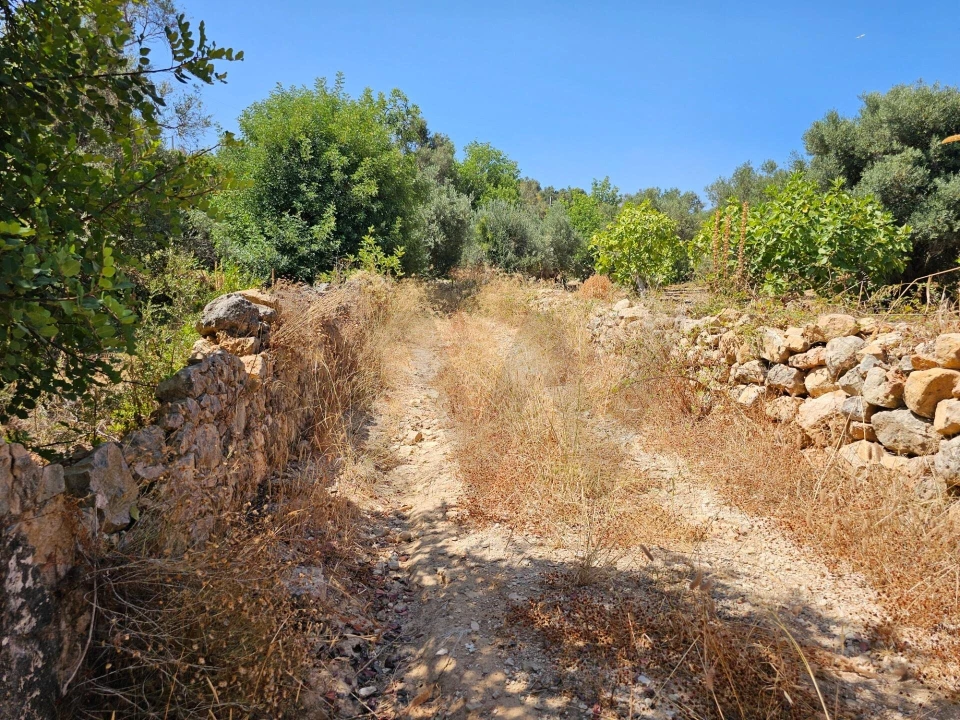 Terreno para Venda em Loule (São Sebastião) Foto 5