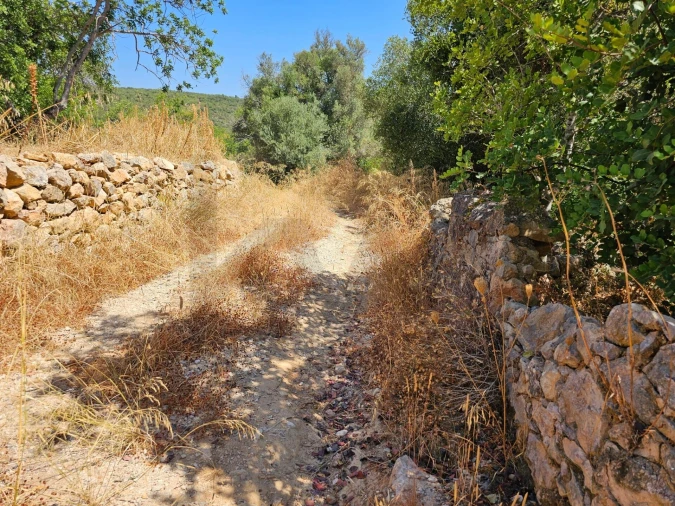Terreno para Venda em Loule (São Sebastião) Foto 15