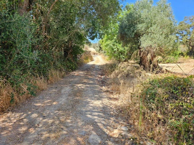Terreno para Venda em Loule (São Sebastião) Foto 4