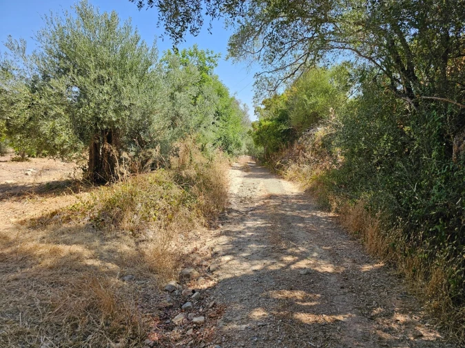 Terreno para Venda em Loule (São Sebastião) Foto 19