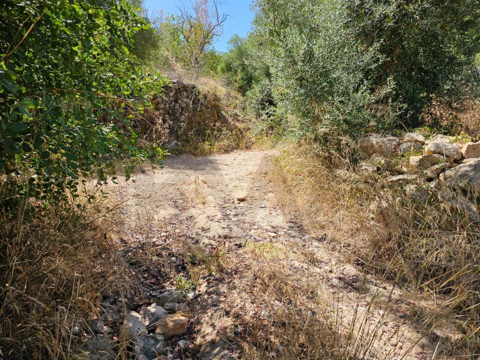 Terreno para Venda em Loule (São Sebastião) Foto 16