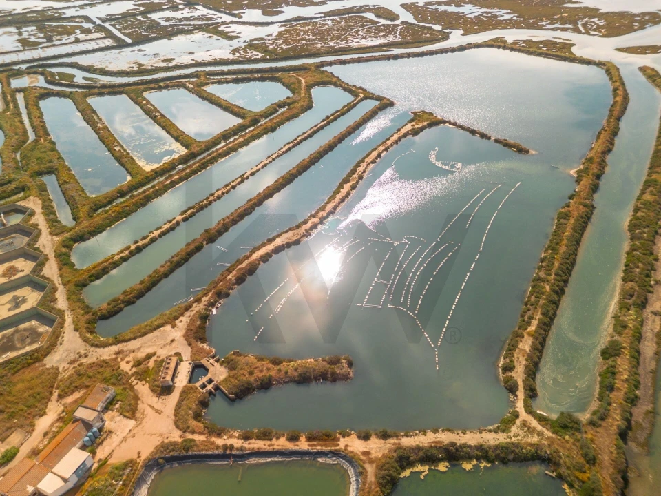 Quinta para Venda em Luz de Tavira e Santo Estêvão Foto 24