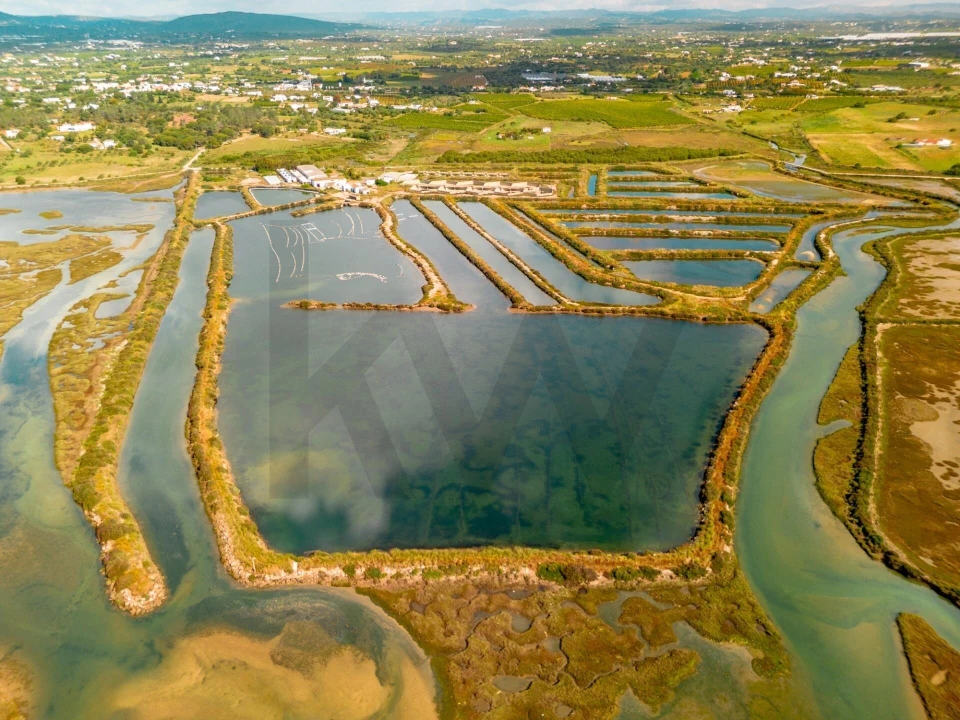 Quinta para Venda em Luz de Tavira e Santo Estêvão Foto 31