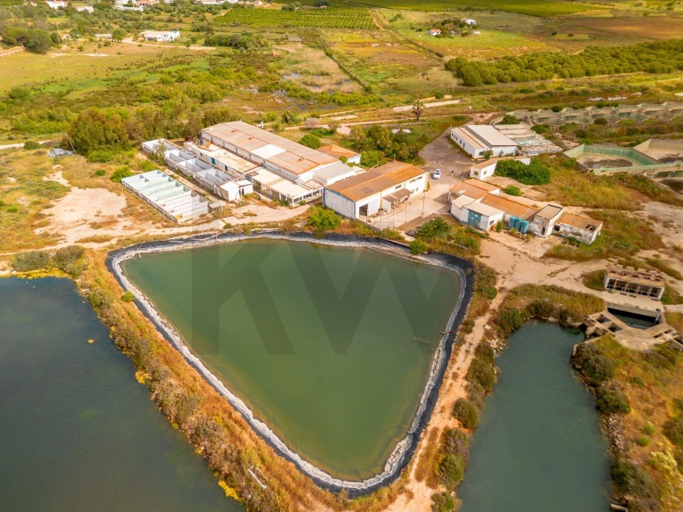Quinta para Venda em Luz de Tavira e Santo Estêvão Foto 39