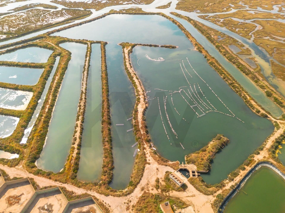 Quinta para Venda em Luz de Tavira e Santo Estêvão Foto 23