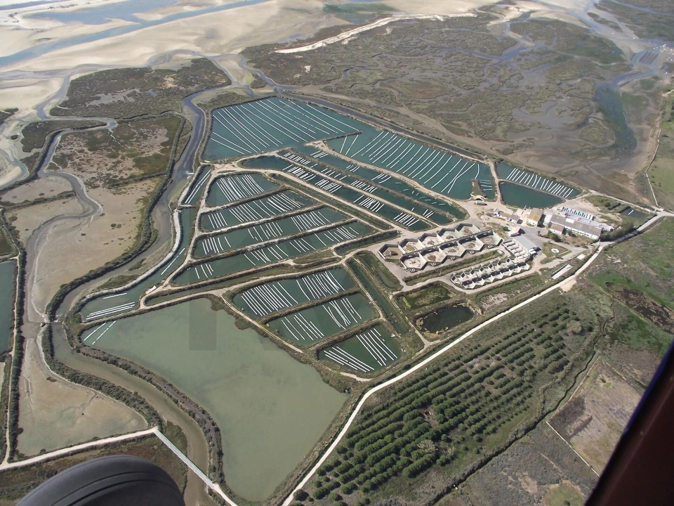 Quinta para Venda em Luz de Tavira e Santo Estêvão Foto 12