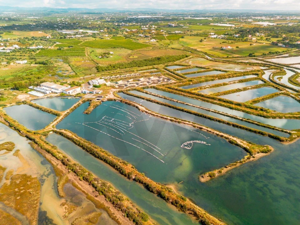 Quinta para Venda em Luz de Tavira e Santo Estêvão Foto 28