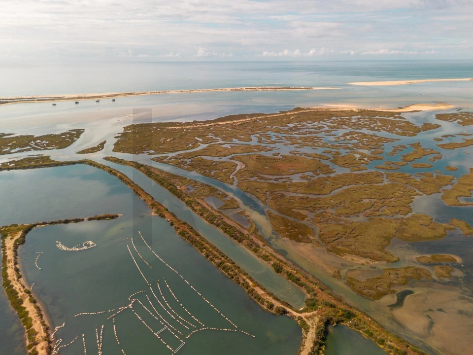 Quinta para Venda em Luz de Tavira e Santo Estêvão Foto 22