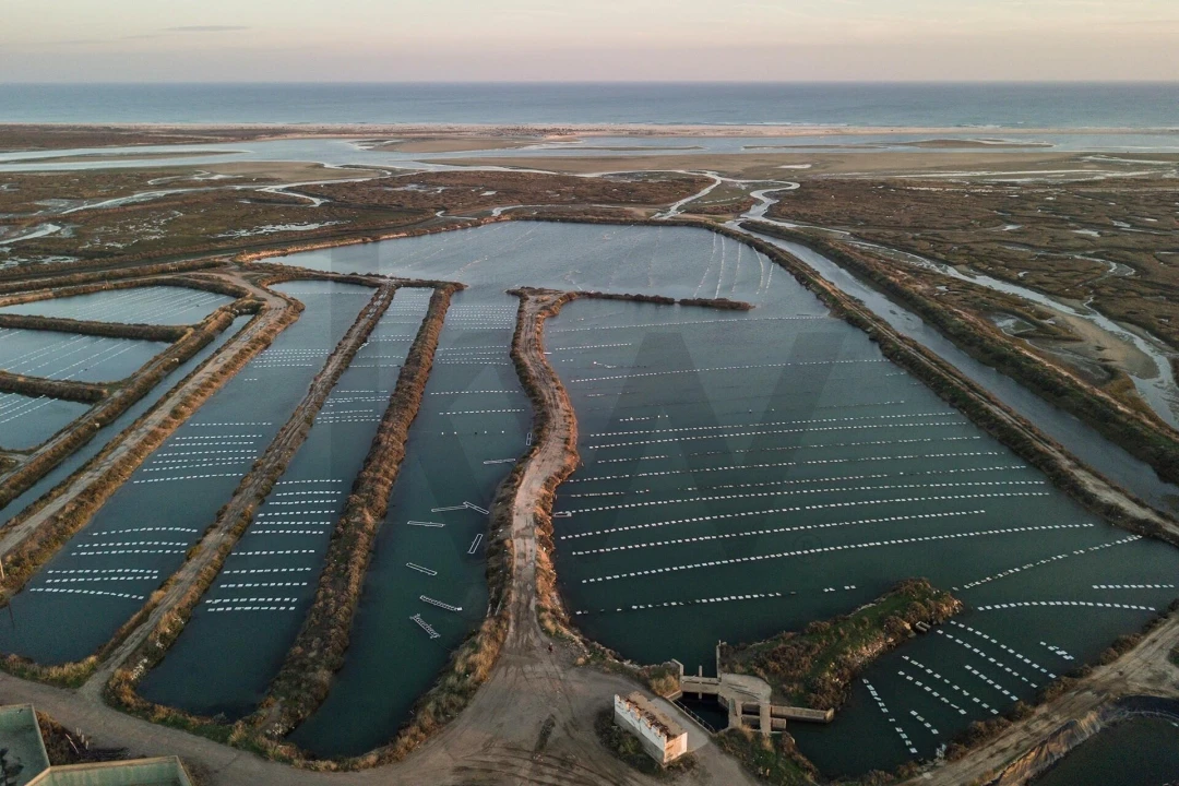 Quinta para Venda em Luz de Tavira e Santo Estêvão Foto 13