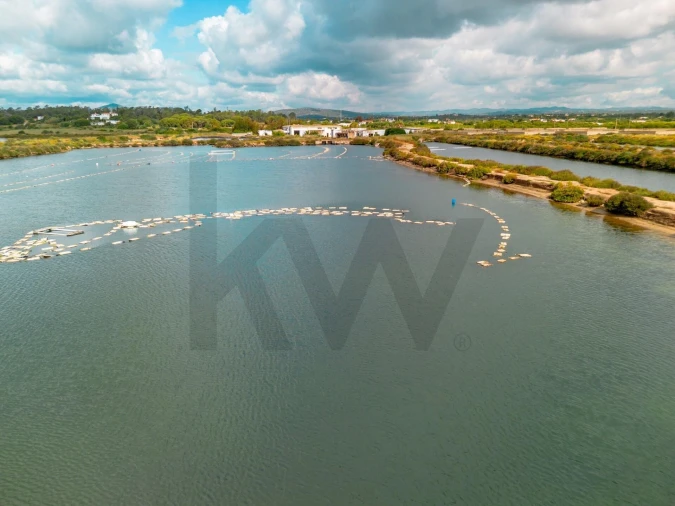 Quinta para Venda em Luz de Tavira e Santo Estêvão Foto 38