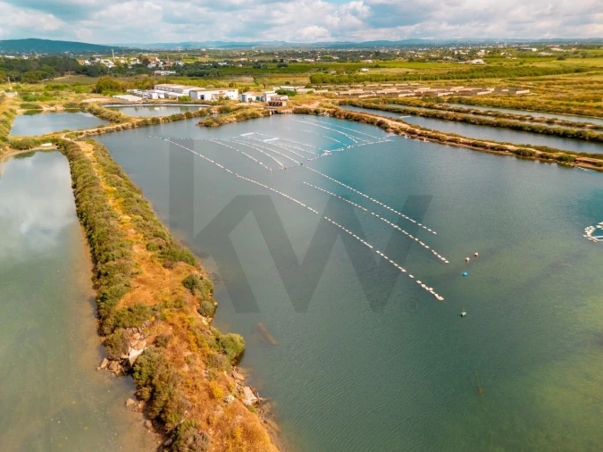 Quinta para Venda em Luz de Tavira e Santo Estêvão Foto 32