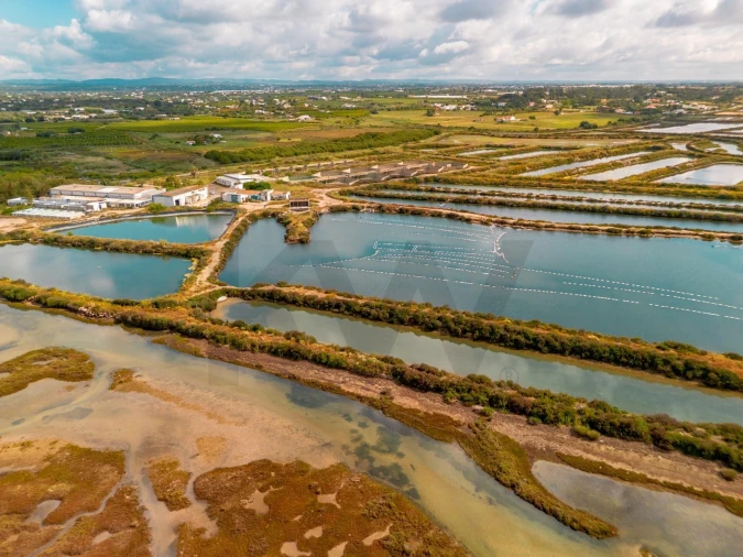 Quinta para Venda em Luz de Tavira e Santo Estêvão Foto 33