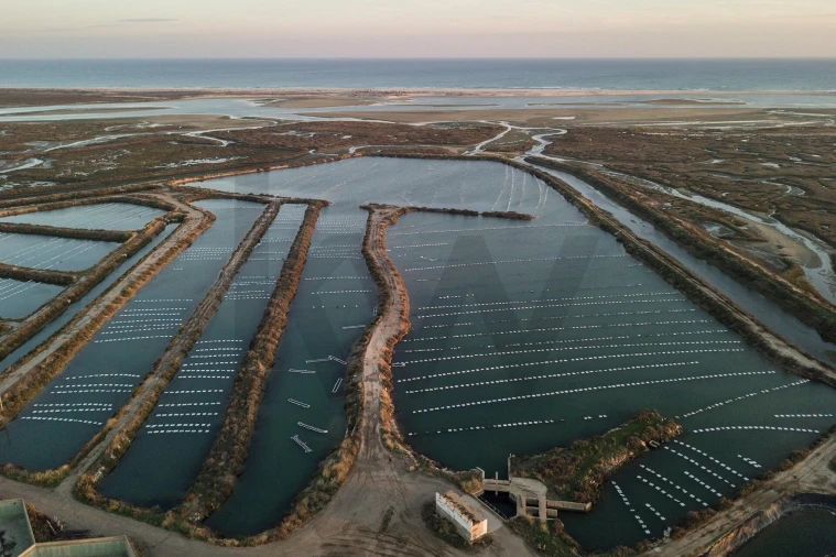 Quinta para Venda em Luz de Tavira e Santo Estêvão Foto 13