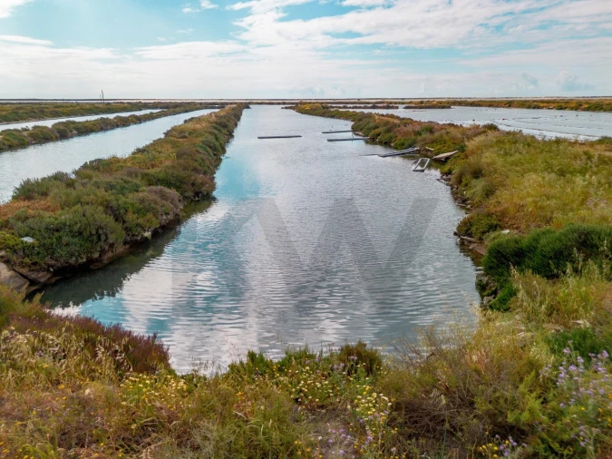 Quinta para Venda em Luz de Tavira e Santo Estêvão Foto 41
