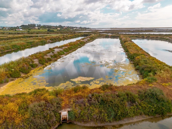 Quinta para Venda em Luz de Tavira e Santo Estêvão Foto 43