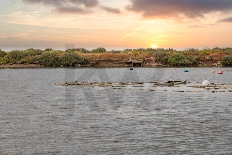 Quinta para Venda em Luz de Tavira e Santo Estêvão Foto 18