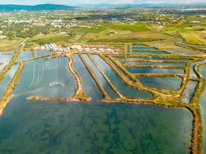 Quinta para Venda em Luz de Tavira e Santo Estêvão Foto 30