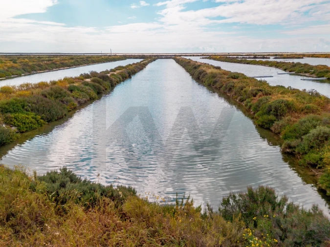 Quinta para Venda em Luz de Tavira e Santo Estêvão Foto 42
