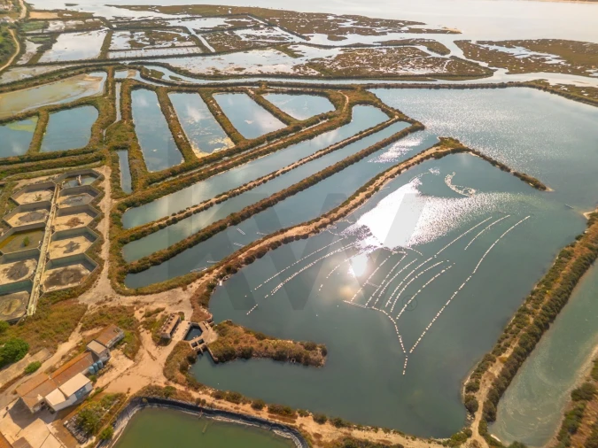 Quinta para Venda em Luz de Tavira e Santo Estêvão Foto 26