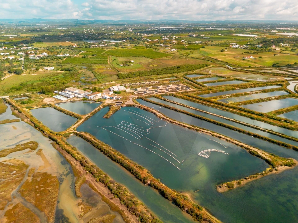 Quinta para Venda em Luz de Tavira e Santo Estêvão Foto 29