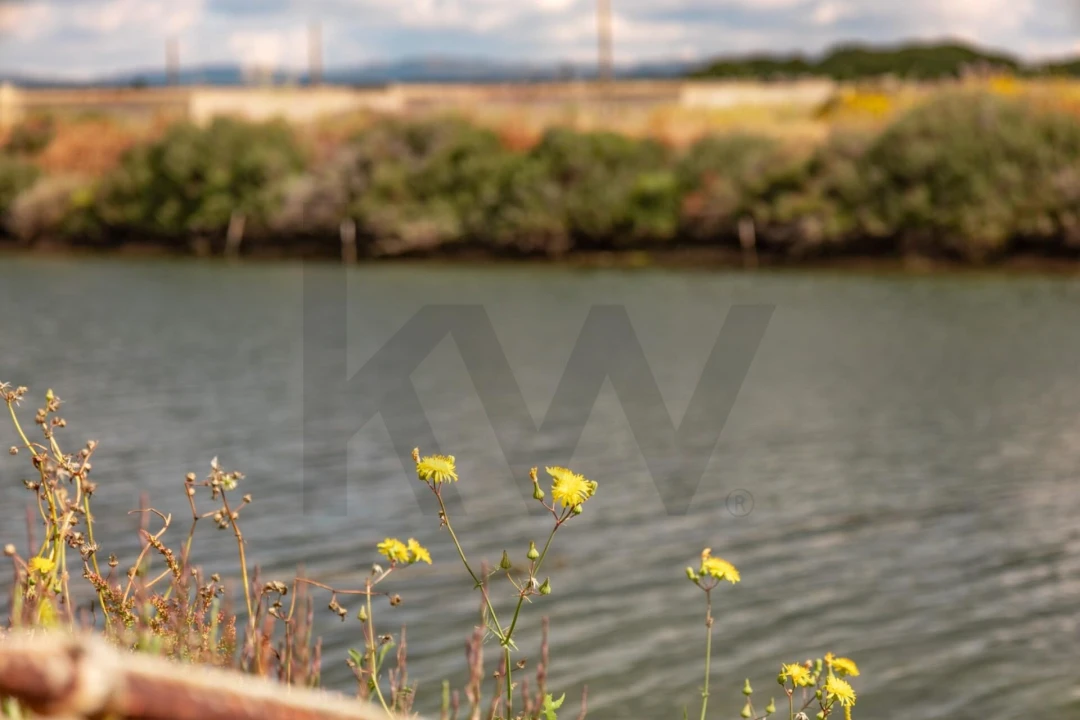 Quinta para Venda em Luz de Tavira e Santo Estêvão Foto 15
