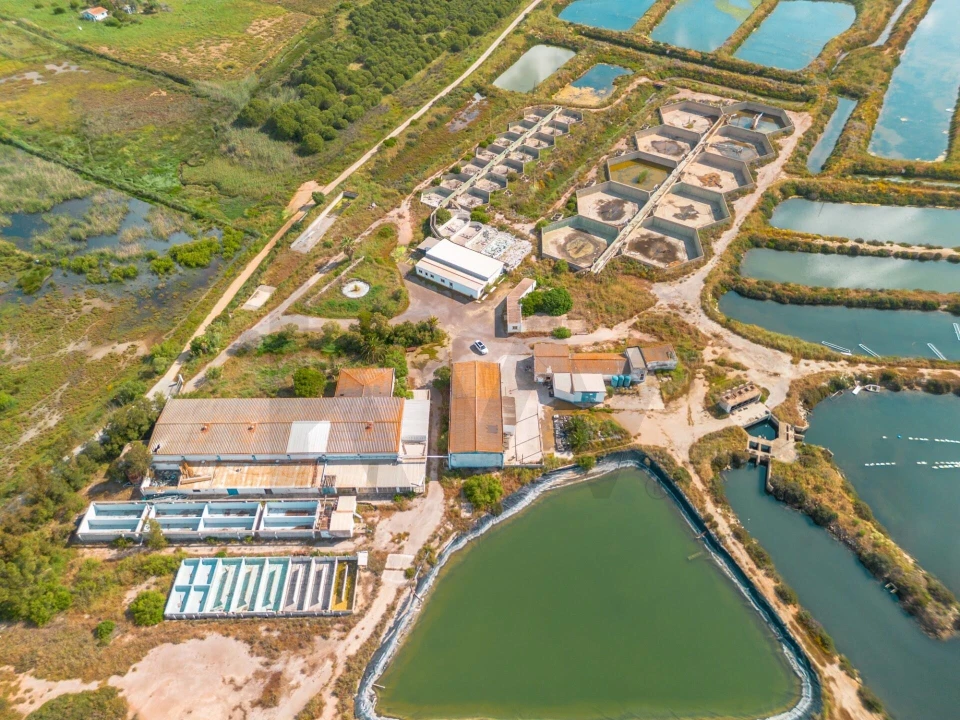 Quinta para Venda em Luz de Tavira e Santo Estêvão Foto 25