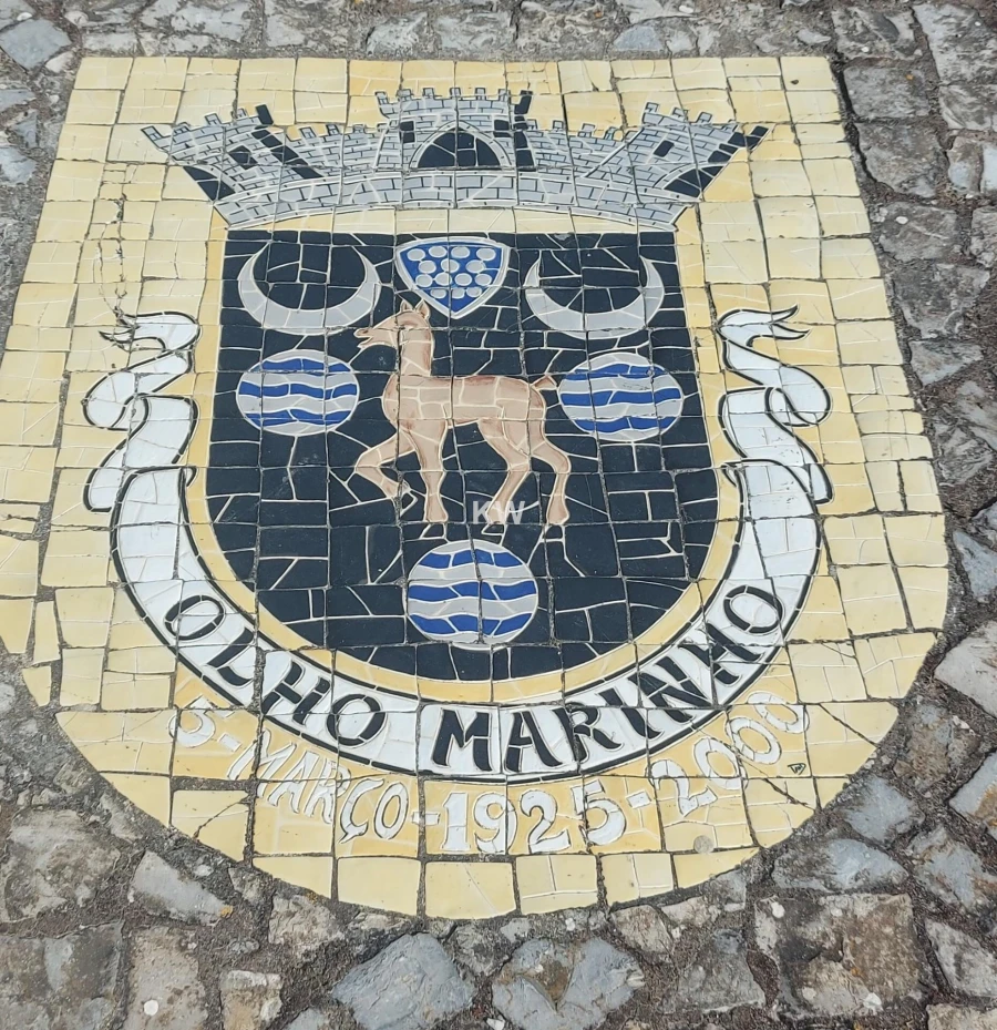 Moradia T8 para Venda em Olho Marinho Foto 4