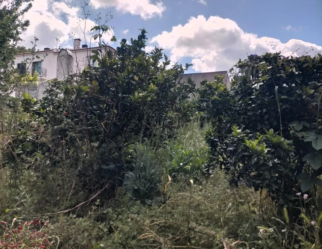 Moradia T4 para Venda em Ajuda Foto 15