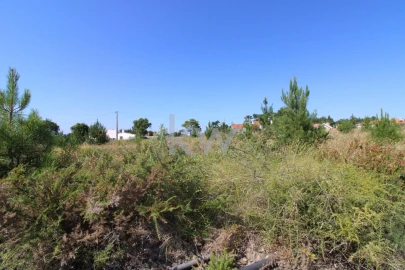 Terreno para Venda em Mafra
