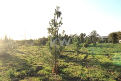 Terreno para Venda em Mafra