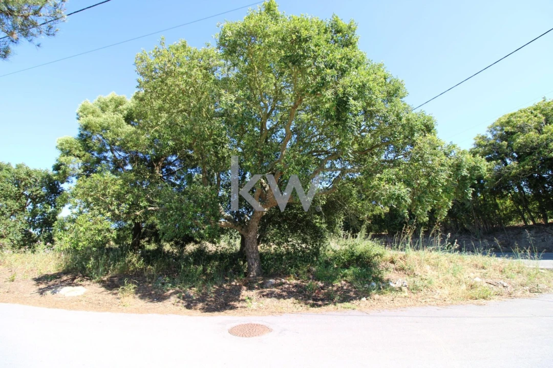 Terreno para Venda em Mafra Foto 27