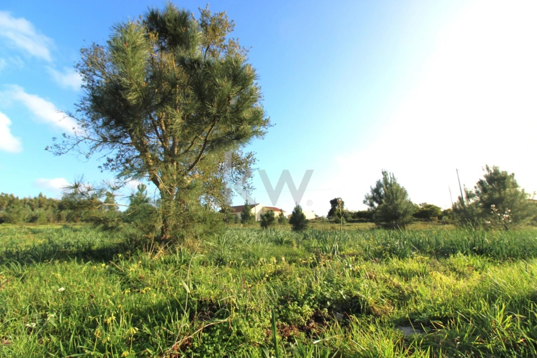 Terreno para Venda em Mafra Foto 2