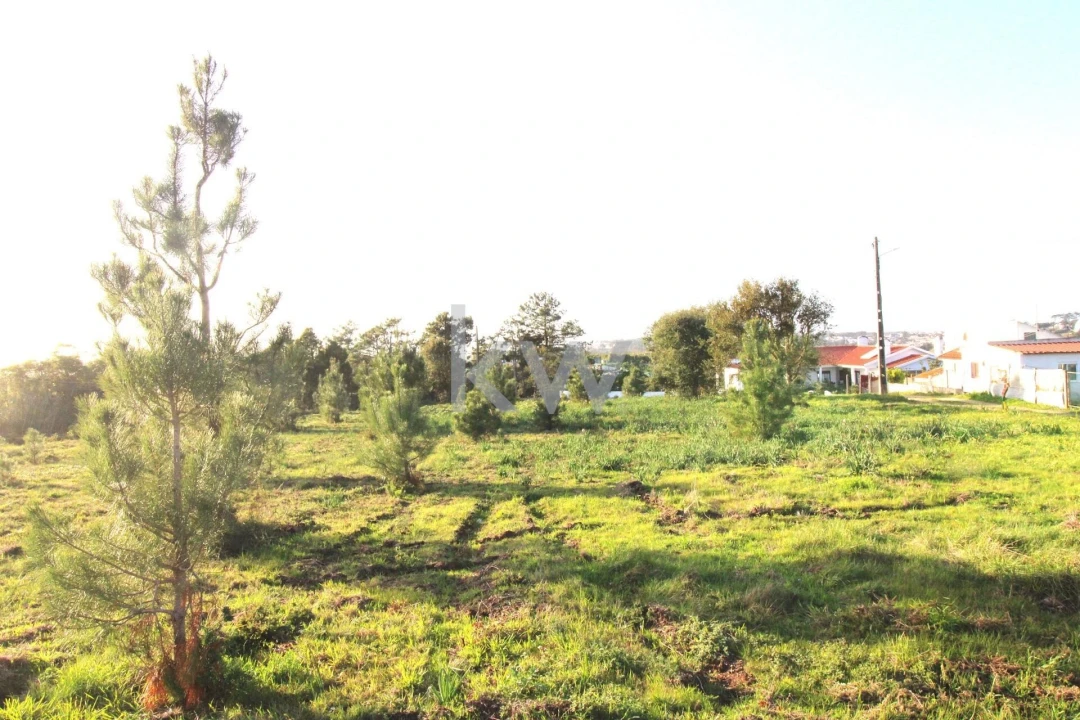 Terreno para Venda em Mafra Foto 5