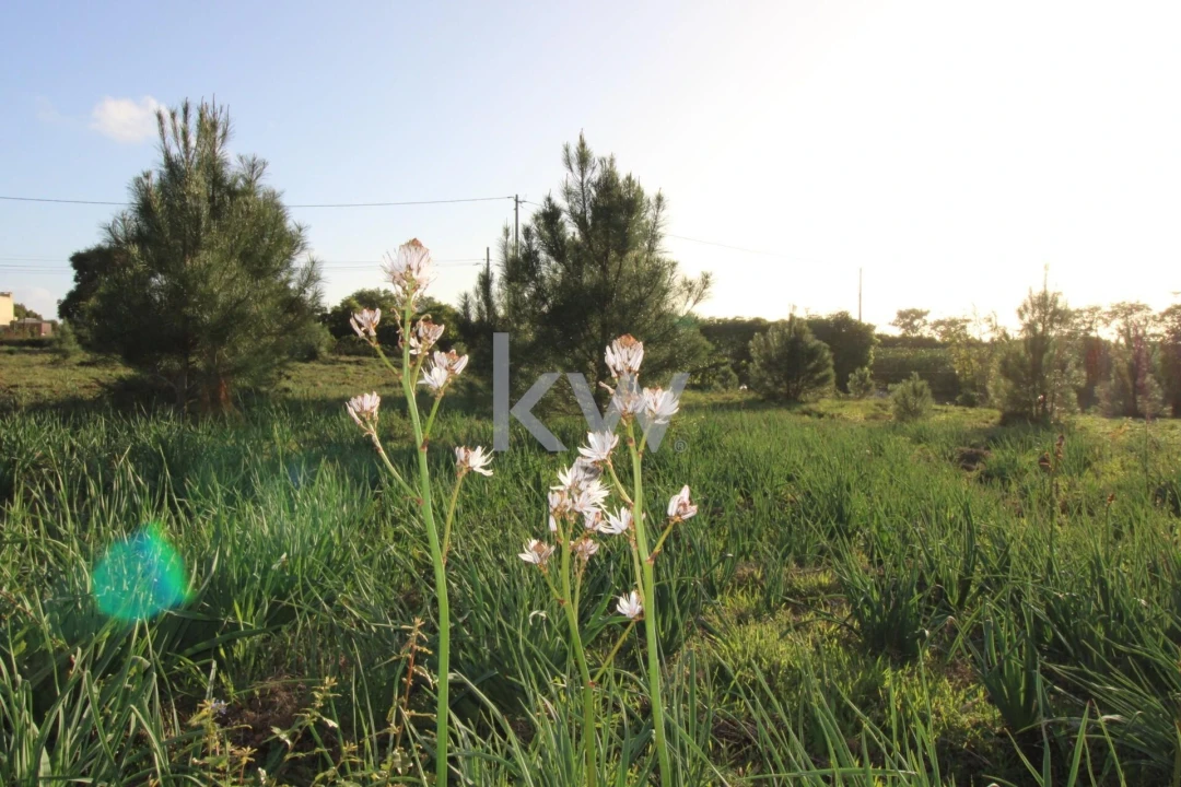 Terreno para Venda em Mafra Foto 3