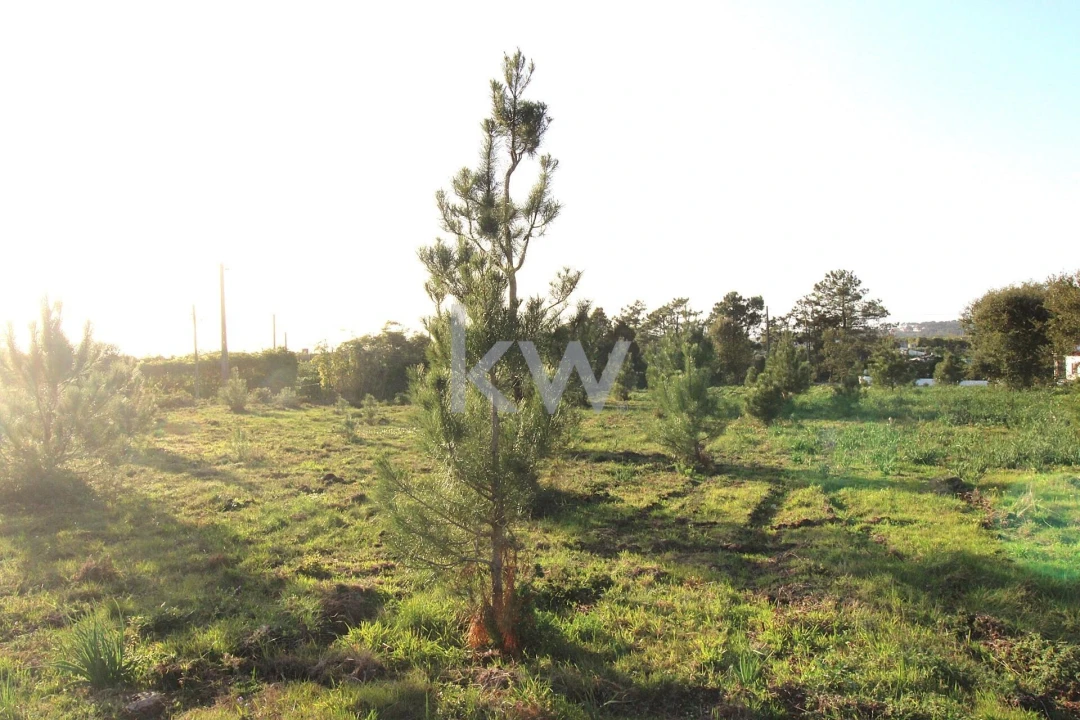 Terreno para Venda em Mafra Foto 4