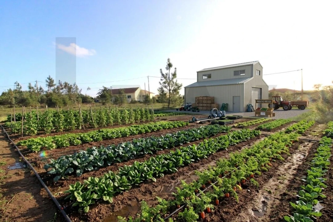 Terreno para Venda em Mafra Foto 1