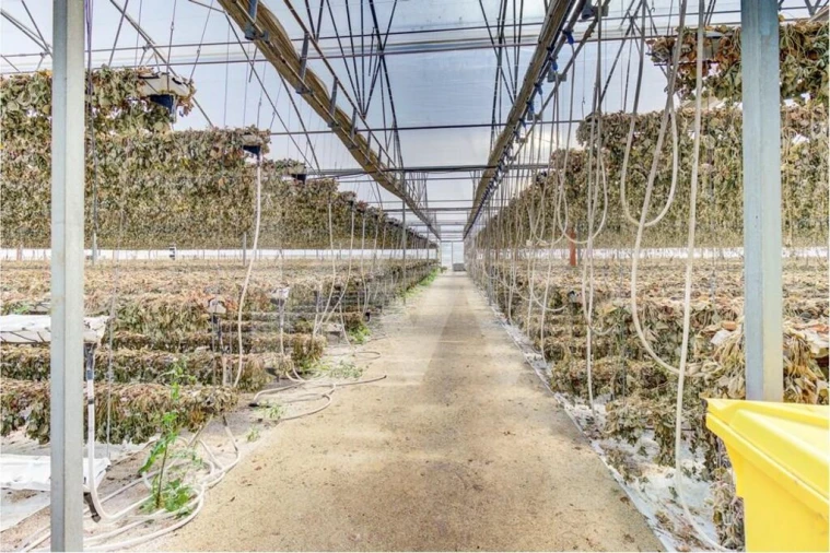 Terreno para Venda em Santo Isidoro Foto 15