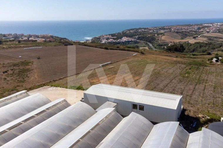 Terreno para Venda em Santo Isidoro Foto 28