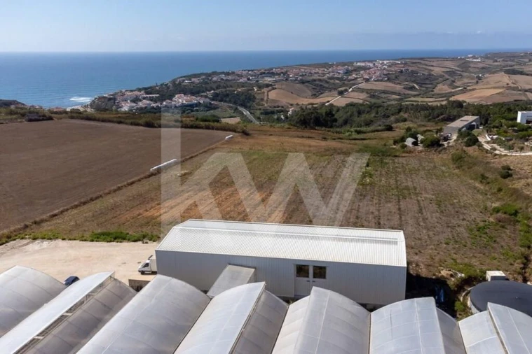 Terreno para Venda em Santo Isidoro Foto 3