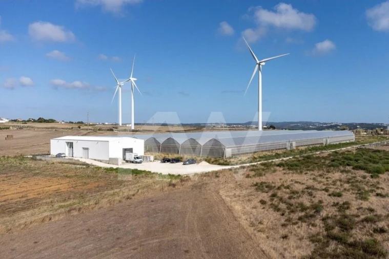Terreno para Venda em Santo Isidoro Foto 34