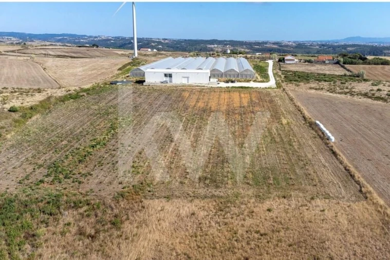 Terreno para Venda em Santo Isidoro Foto 35